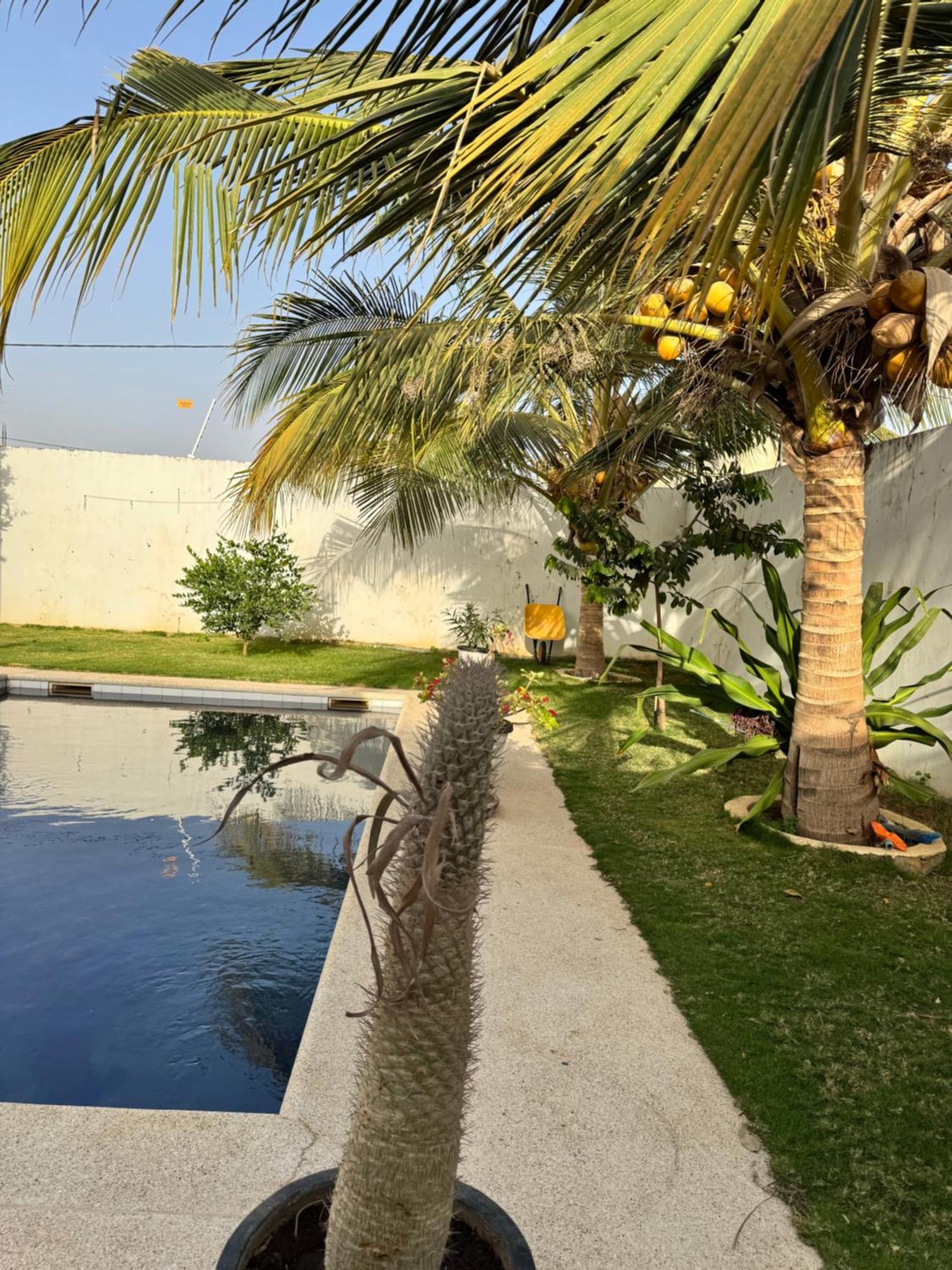La Baraka, Extravagant Villa For 8 With Pool In Saly Gandigal Exteriör bild